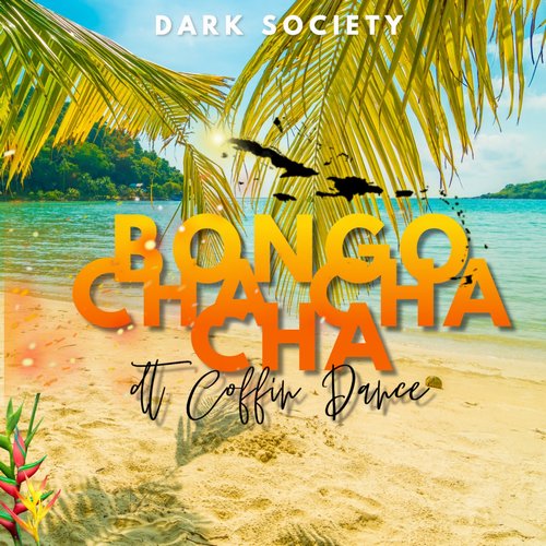 Dark Society - Bongo Cha Cha Cha (Bongo ChaChaCha) [ORX333]